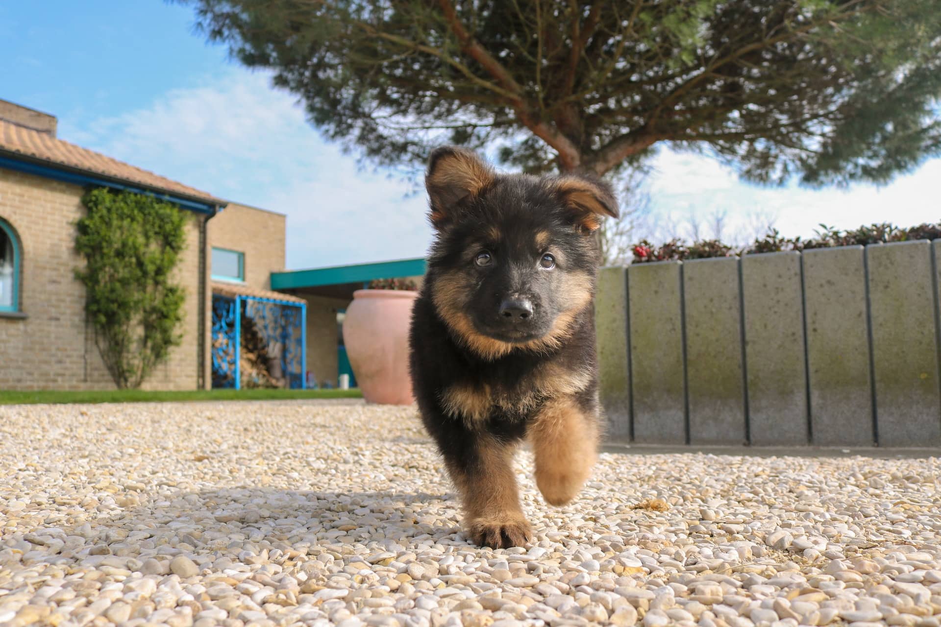 wannes-de-mol-_7ifL2ddOmo-unsplash